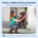 PetSafe Wireless Waterproof Dog Collar Receiver