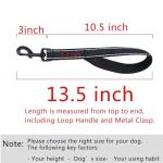 Heavy Duty Short Dog Leash with Padded Handle