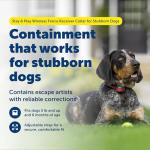 PetSafe Stay & Play Wireless Fence Receive Collar for Stubborn Dogs - Rechargeable & Waterproof Receiver Collar with Quick Charge in 2-3 Hours - for Dogs 5lb+