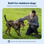 PetSafe Stay & Play Wireless Fence Receive Collar for Stubborn Dogs - Rechargeable & Waterproof Receiver Collar with Quick Charge in 2-3 Hours - for Dogs 5lb+