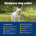 PetSafe Stay & Play Wireless Fence Receive Collar for Stubborn Dogs - Rechargeable & Waterproof Receiver Collar with Quick Charge in 2-3 Hours - for Dogs 5lb+