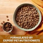 Nature’s Recipe Lamb & Brown Rice Dog Food