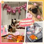 9 Pack Squeaky Dog Toys for Small Puppies