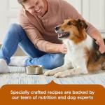 Rachael Ray Nutrish Healthy Weight Dog Food 12 lb