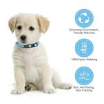 16 Pack Adjustable Puppy Collars with Safety Buckle