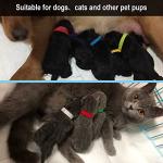15 Adjustable Puppy Collars in 15 Colors