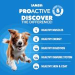 Iams Proactive Health Dog Food for Adults