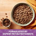 Lamb & Barley Dry Dog Food - 4 lb Bag