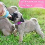 14-Pack Adjustable Puppy Collars for Small Dogs