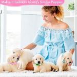 14-Pack Adjustable Puppy Collars for Small Dogs