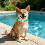 Ducky Pattern Adjustable Dog Collar for Small Dogs