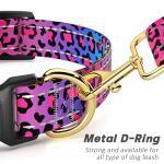 Cute Leopard Reflective Collar for Medium Dogs
