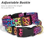 Cute Leopard Reflective Collar for Medium Dogs