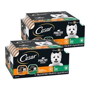Cesar Wet Dog Food Poultry Variety Pack, 24 Trays
