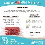 Raw Paws Beef Recipe Frozen Pet Food, 20-lb