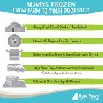 Raw Paws Beef Recipe Frozen Pet Food, 20-lb