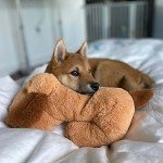 Snuggle Puppy Heartbeat Toy - Calming Plush for Dogs