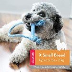 KONG Puppy Goodie Bone and Rope Chew Toy