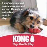 KONG Puppy Goodie Bone and Rope Chew Toy