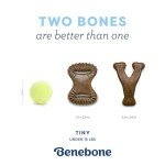 Benebone Puppy Dental Chew Toys - 2 Pack