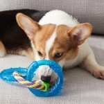 Petstages Orka Dental Links Chew Toy