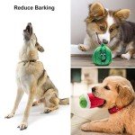 12-Pack Plush Dog Squeaky Toys with Bag