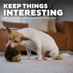 Hedgehogz Plush Dog Toy for Small Puppies