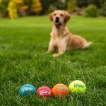 Outward Hound Squeaky Fetch Ball Toy Set
