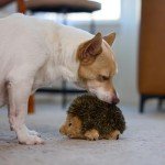 Hedgehogz Plush Dog Toy for Small Puppies