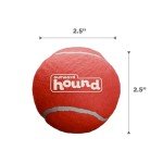 Outward Hound Squeaky Fetch Ball Toy Set