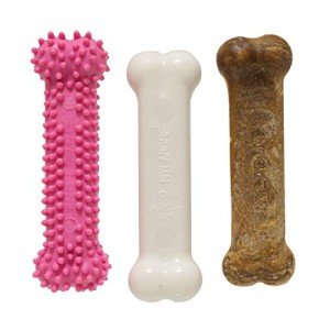 Nylabone Puppy Chew Toys: Chicken & Bacon Trio