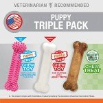 Nylabone Puppy Chew Toys: Chicken & Bacon Trio