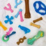 Nylabone Puppy Chew Toys: Chicken & Bacon Trio