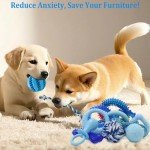 20 Pack Puppy Chew Toys - Teething Fun Bundle