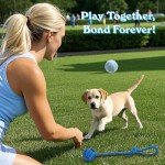 20 Pack Puppy Chew Toys - Teething Fun Bundle