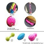 17-Pack Cute Chew Toys for Small Puppies