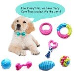 17-Pack Cute Chew Toys for Small Puppies