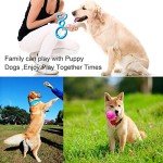 17-Pack Cute Chew Toys for Small Puppies