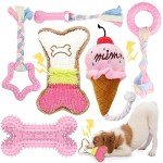 6 Pack Pink Puppy Teething & Chew Toys Set