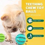 PUPTILY Squeaky Chew Balls for Small Dogs