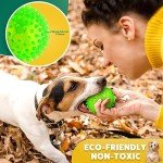 PUPTILY Squeaky Chew Balls for Small Dogs