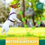 PUPTILY Squeaky Chew Balls for Small Dogs