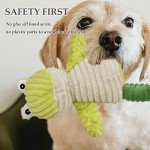 5-Pack Tough Plush Squeaky Dog Toys Bundle