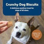 Blue Buffalo Crunchy Pumpkin & Cinnamon Dog Treats