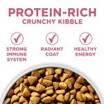 Purina ONE Sensitive Stomach Dry Dog Food 31.1 lb