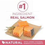 Purina ONE Sensitive Stomach Dry Dog Food 31.1 lb