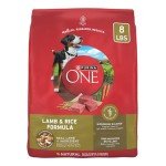 Purina ONE Lamb and Rice Dry Dog Food 8 lb