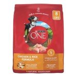Purina ONE Chicken & Rice Dry Dog Food - 8 lb