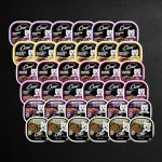 Cesar Wet Dog Food Steak Lovers Variety Pack