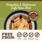 Lamb Freeze Dried Raw Dog Food Nuggets, 14 oz